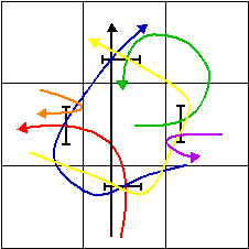 Some Jump Box Dog Paths