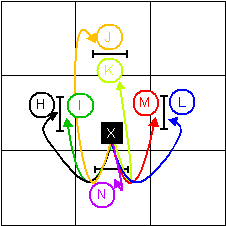 Possible Actions Jumping Out