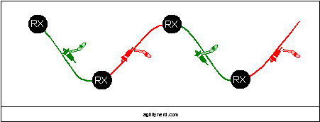 Zig Zag Rear Cross Exercise