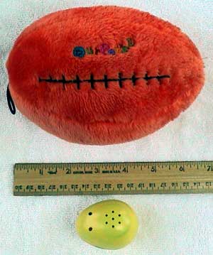 Play-N-Speak Football