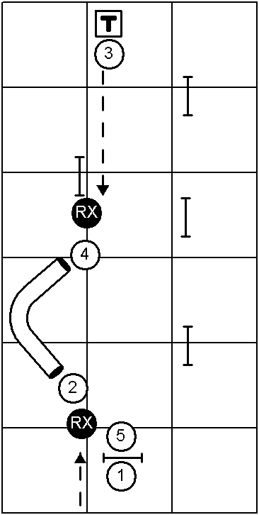 Beginner's Course Sequence