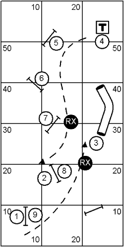 Beginner Course Sequence