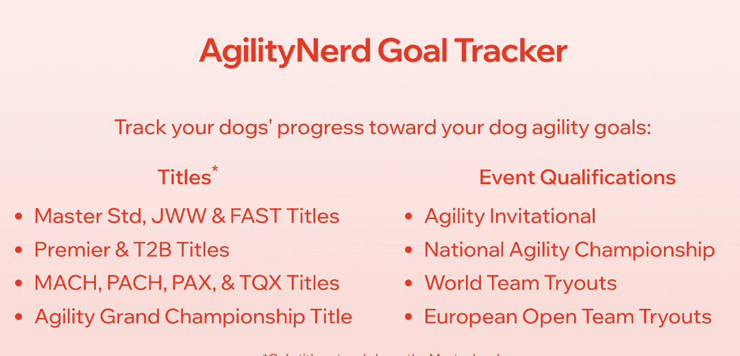 All posts | AgilityNerd