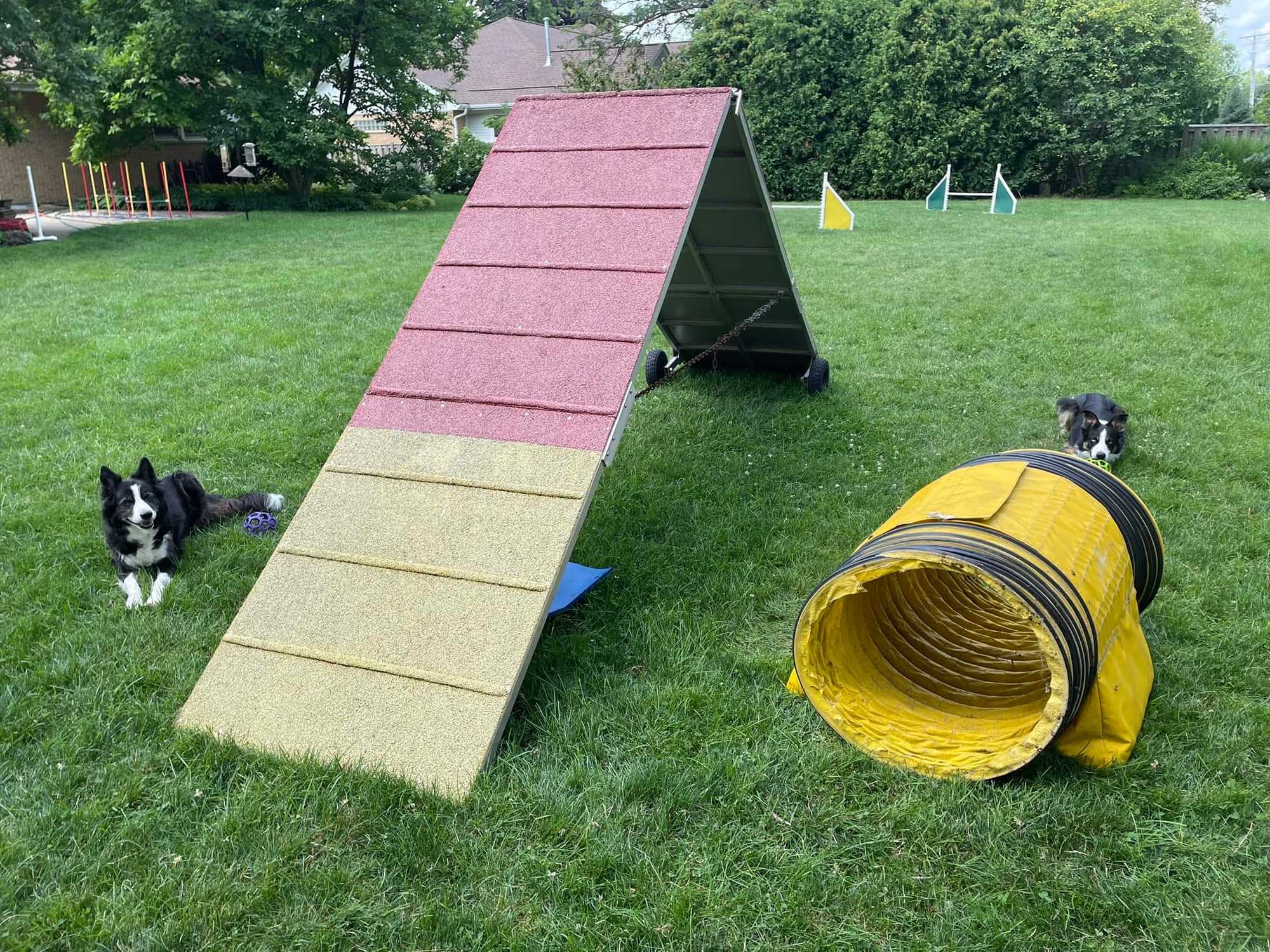 Homemade Short Tunnel