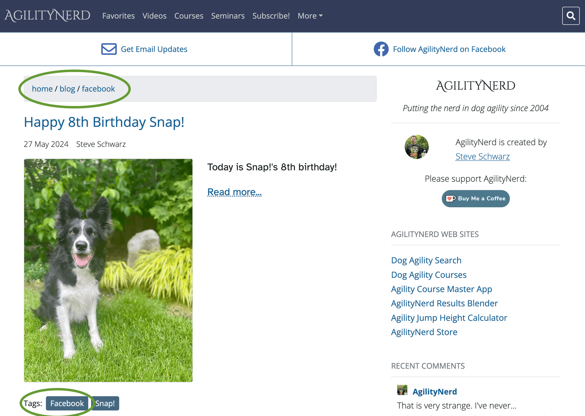 Category and Tag Links Category and Tag Links