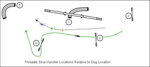 Are You Training Enough Threadle Handler Locations? | AgilityNerd