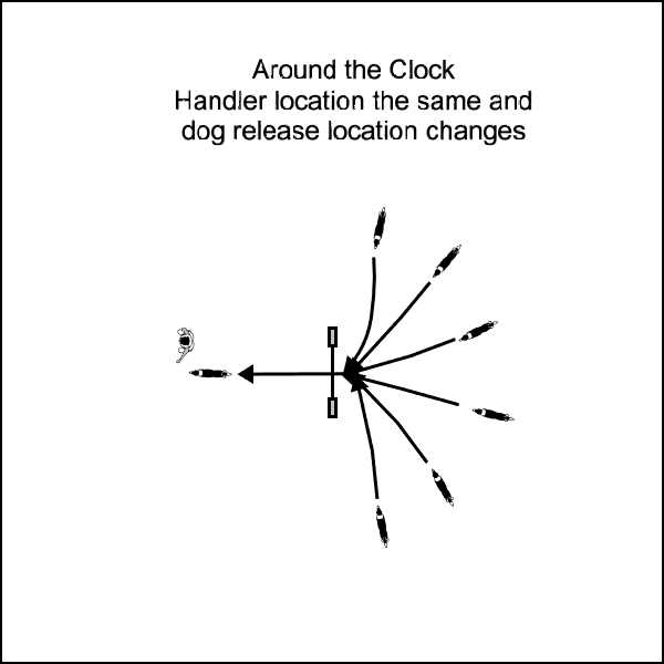 Recalling the dog over a jump with dog starting location arranged around the clock Recalling the dog over a jump with dog starting location arranged around the clock
