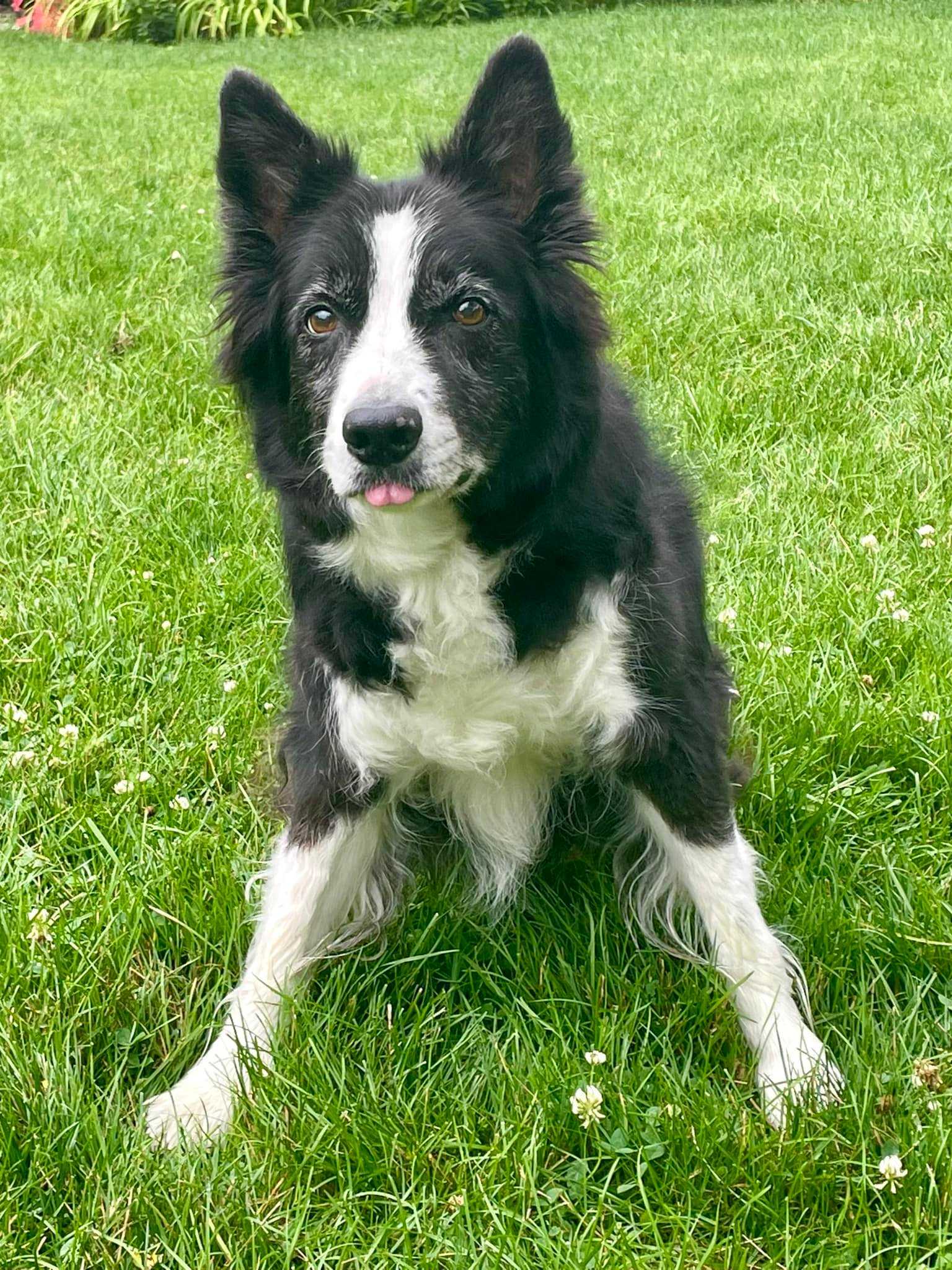 We are not amused! We are not amused!