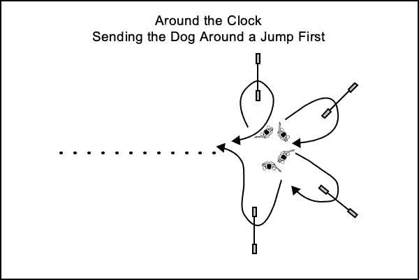 Sending the dog over jumps arranged around the clock Sending the dog over jumps arranged around the clock