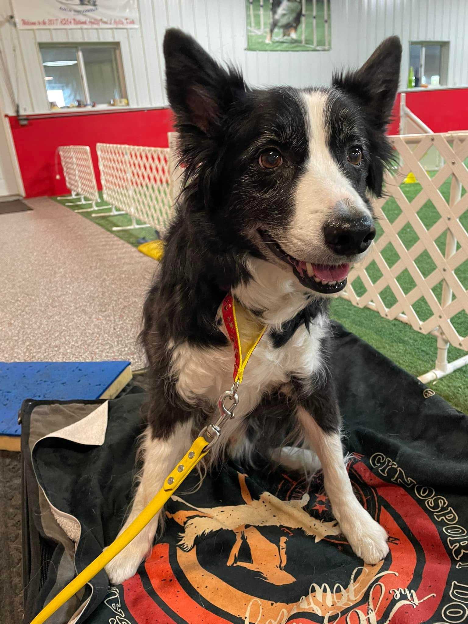 Happy to get treats and petting!! Happy to get treats and petting!!